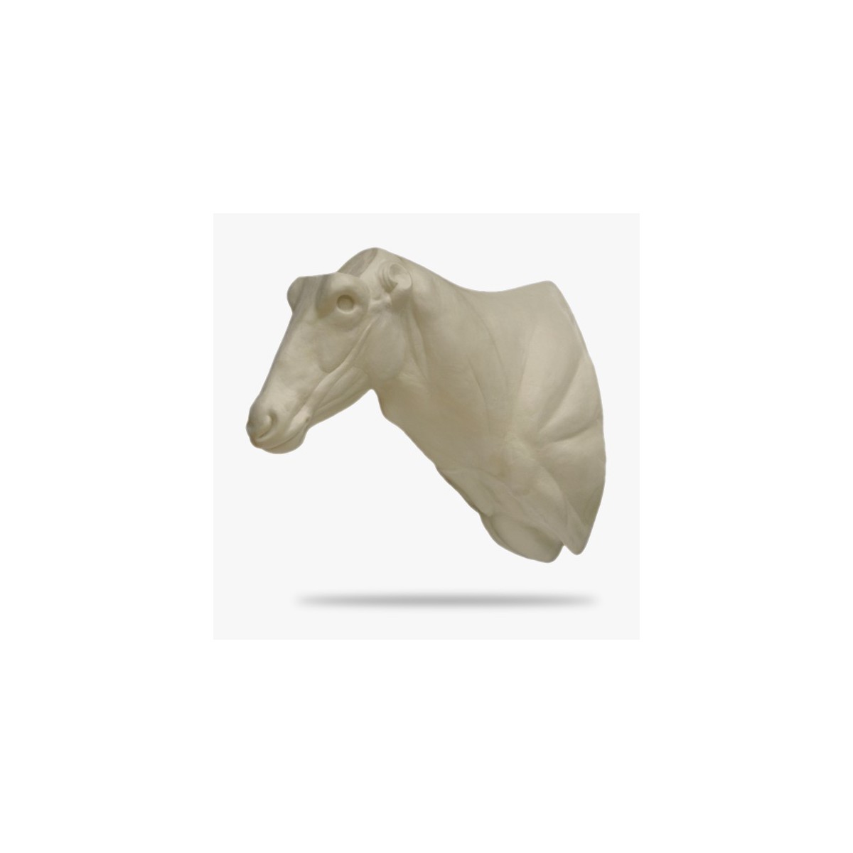 AF-O5-G.gif_product