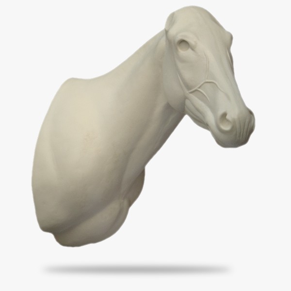 AF-Z2-R.gif_product