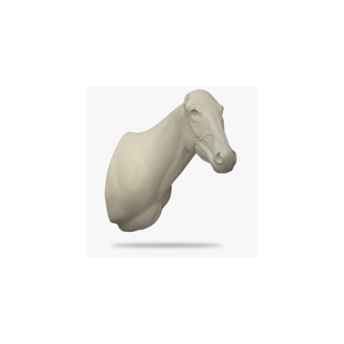 AF-Z2-R.gif_product