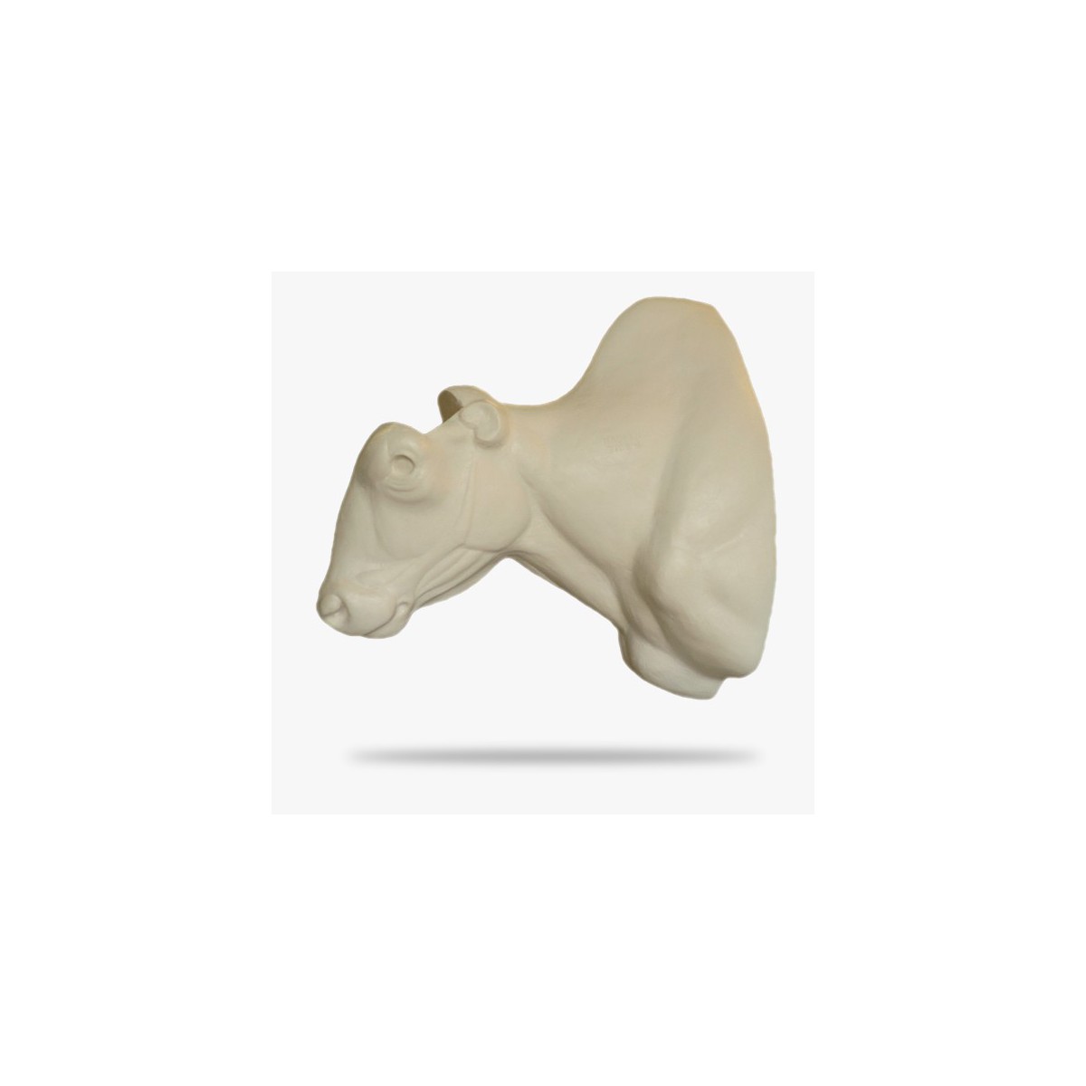 BIS2-G.gif_product