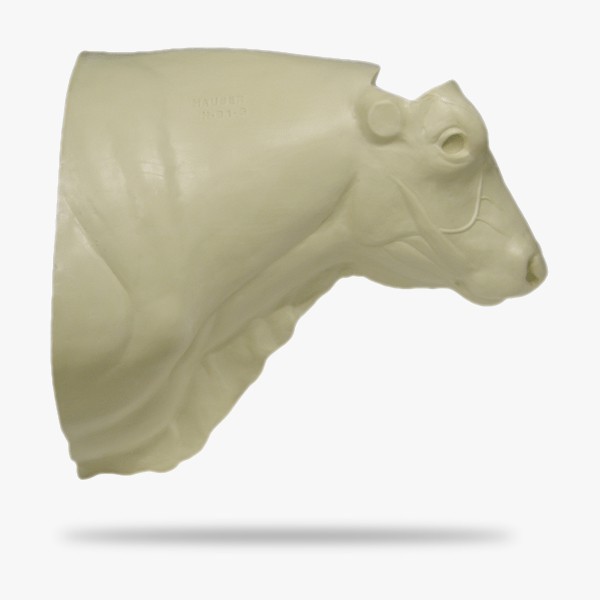 H-B1-G.gif_product
