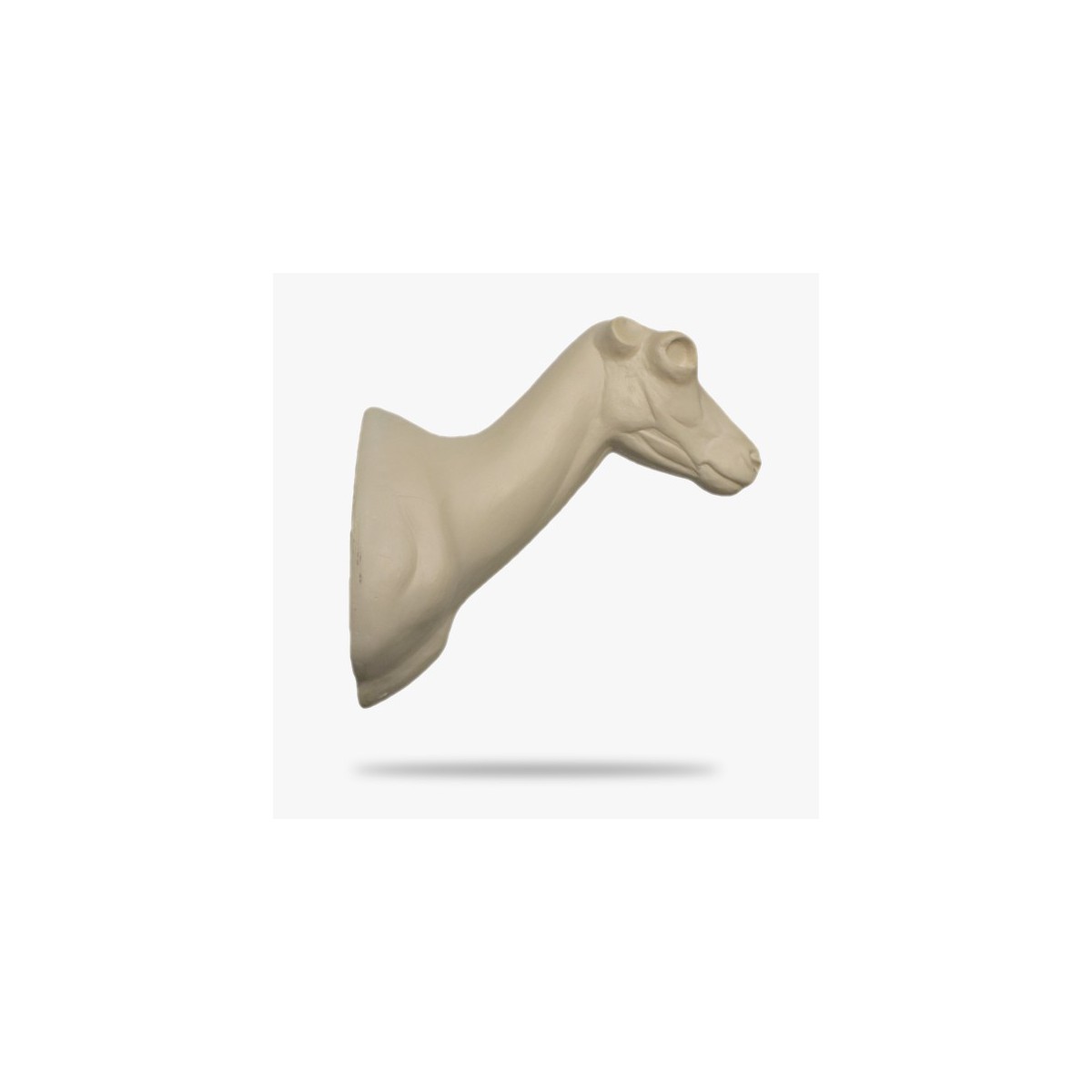 G2-G.gif_product