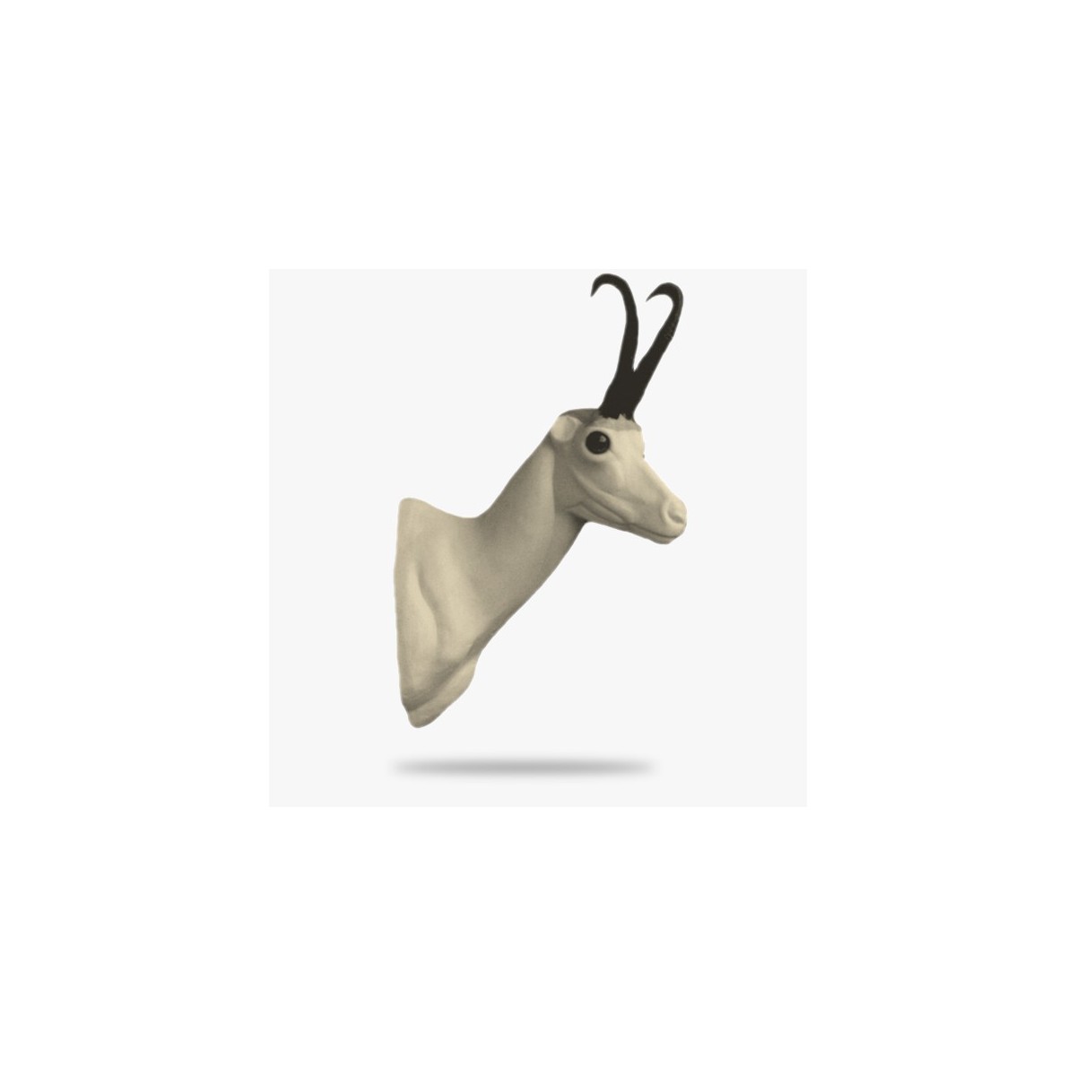 G6-R.gif_product