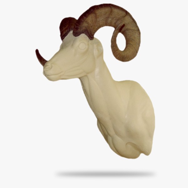 DLS2-G.gif_product