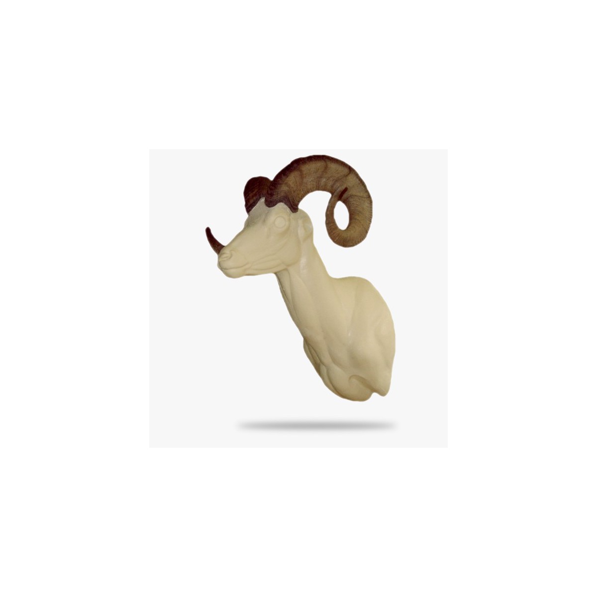 DLS2-G.gif_product