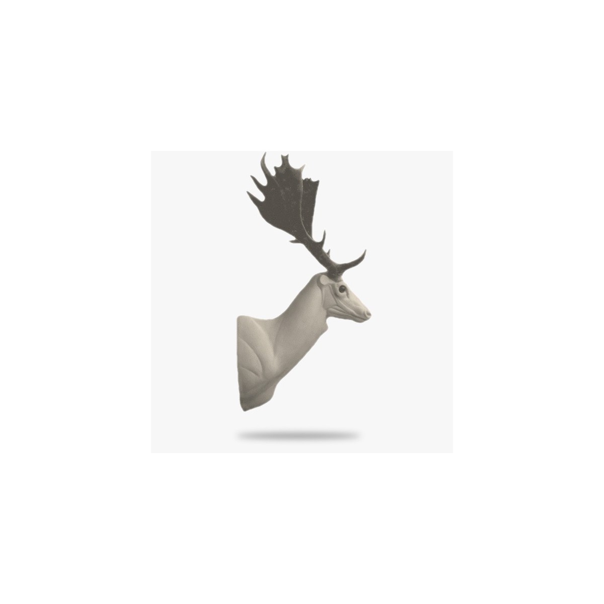 D3-G.gif_product