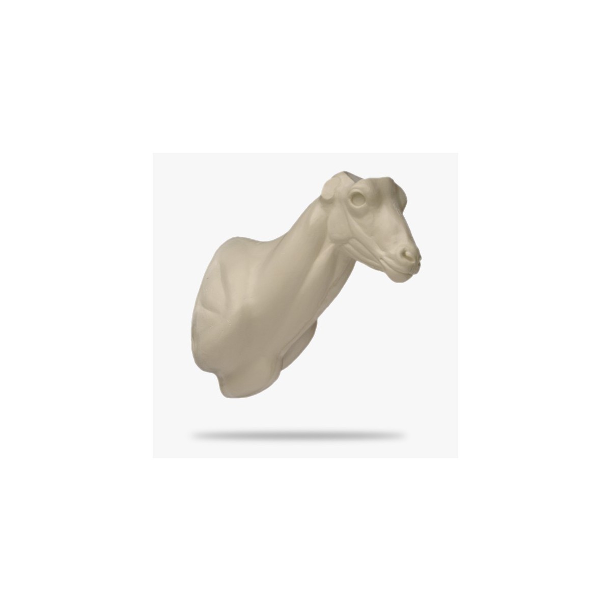 AST2-G.gif_product