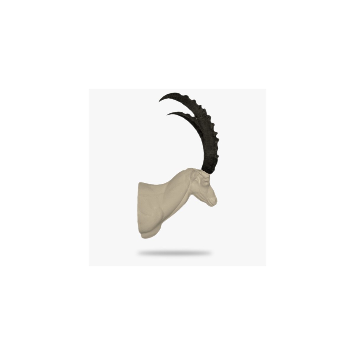 AST4-G.gif_product