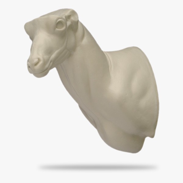 AST4-L.gif_product