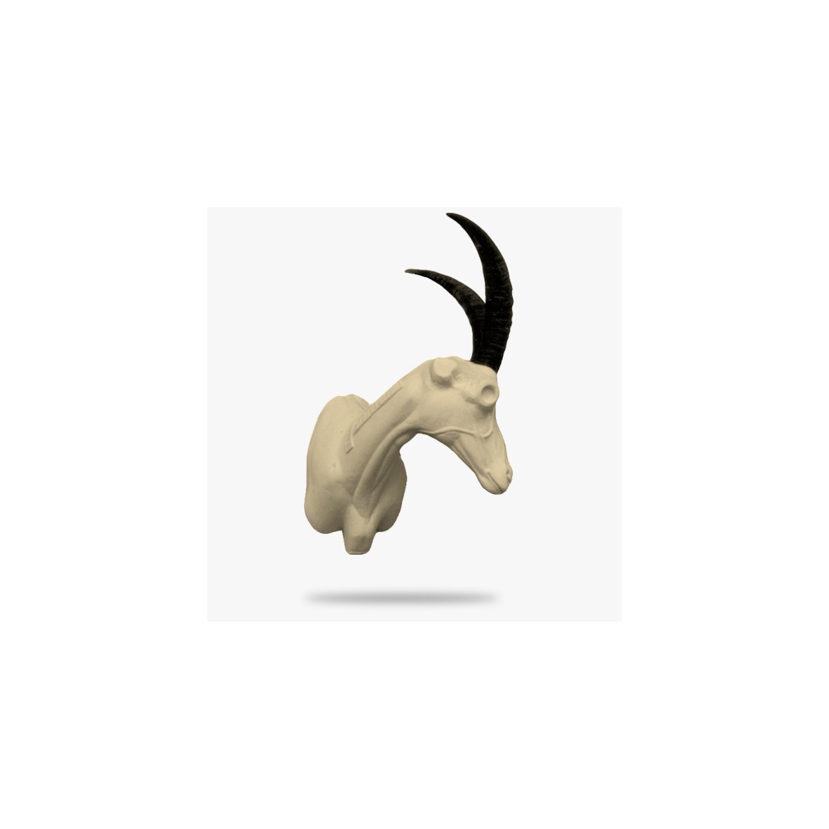 PU-BSTG1.gif_product