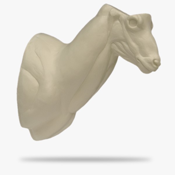 ST2-G.gif_product