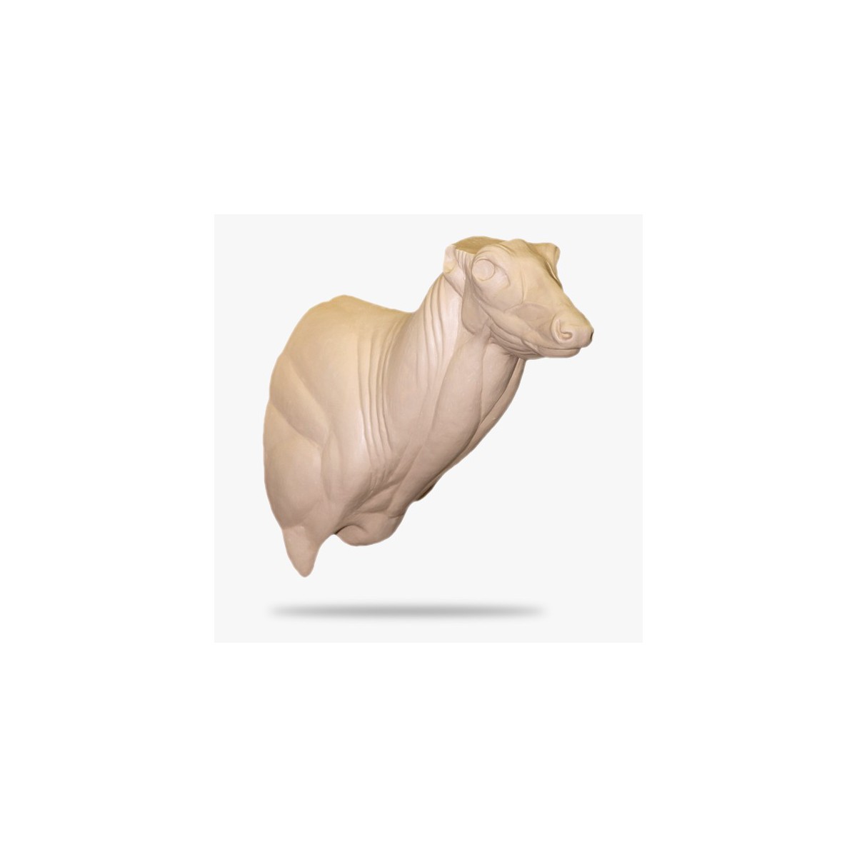 SO-O-DSI3-R.gif_product