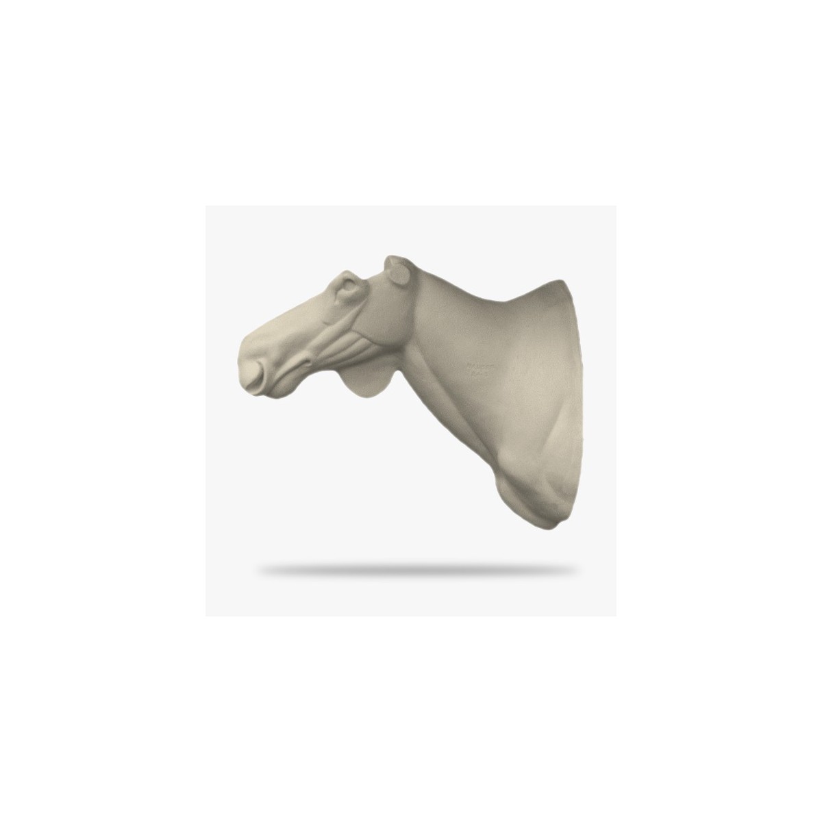 E4-G.gif_product
