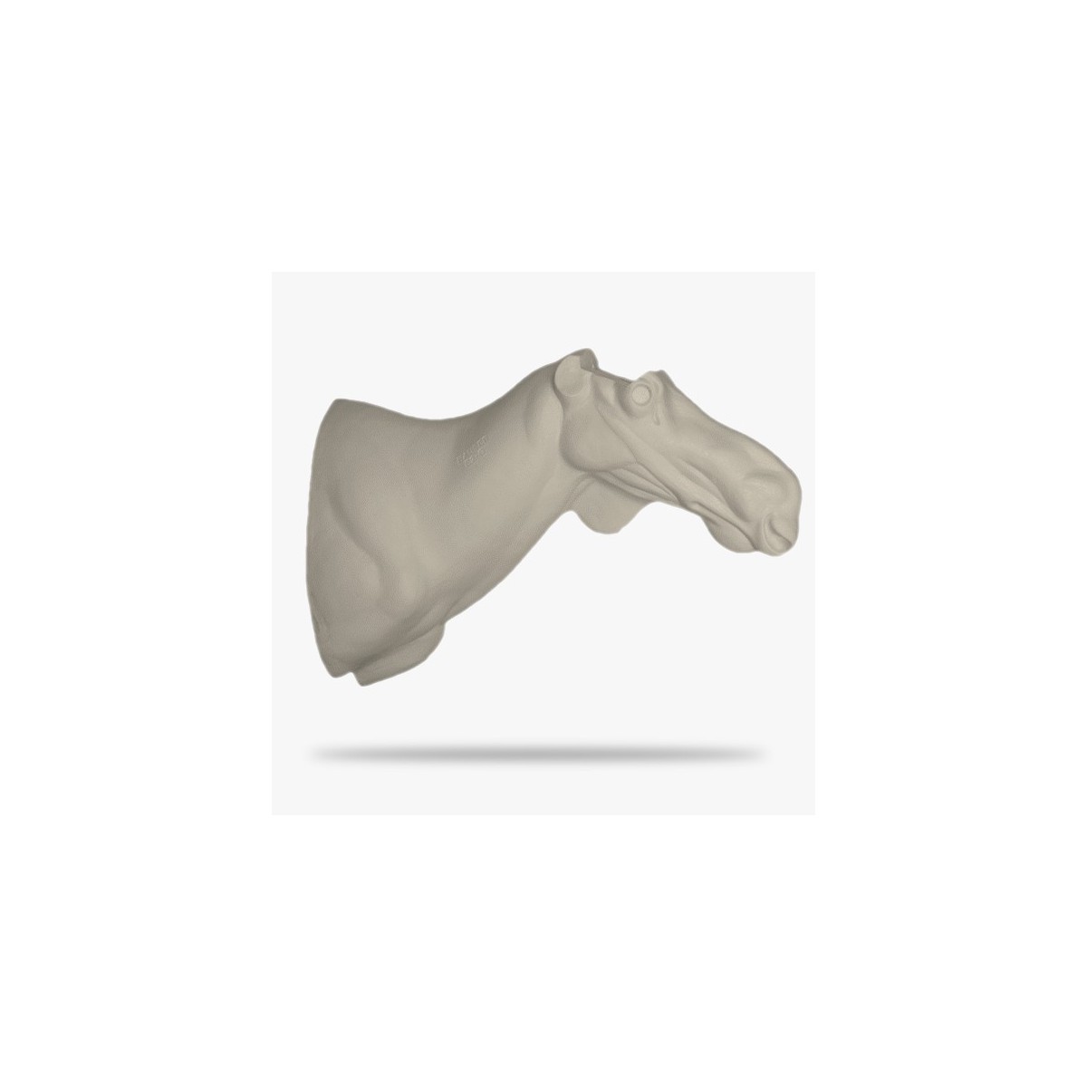E2-G.gif_product
