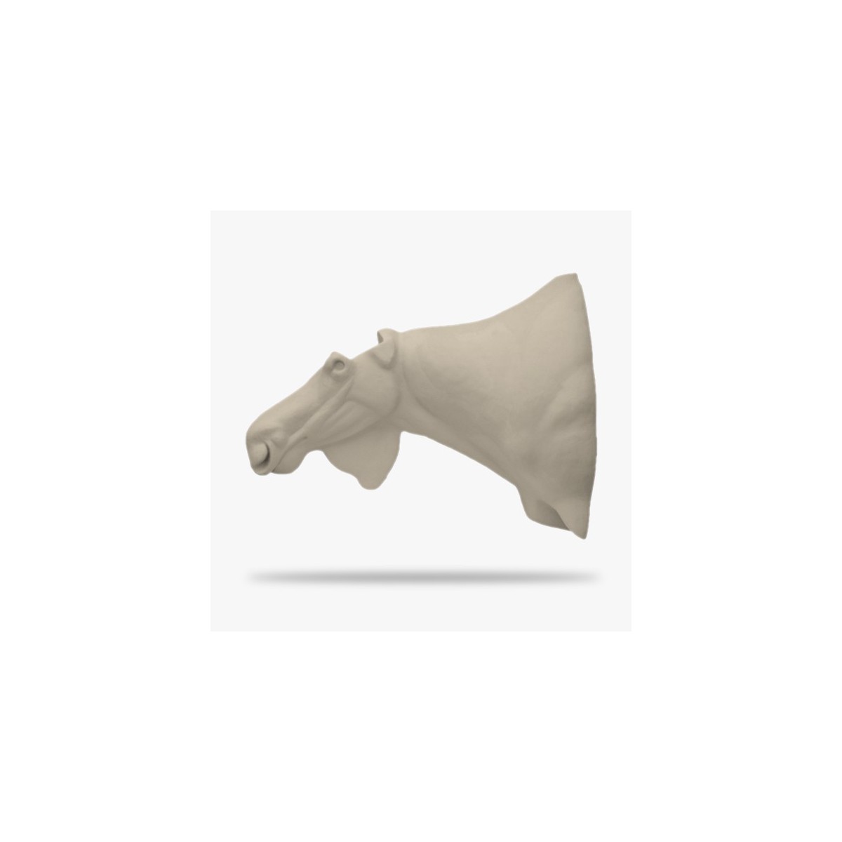 SO-E8-G.gif_product