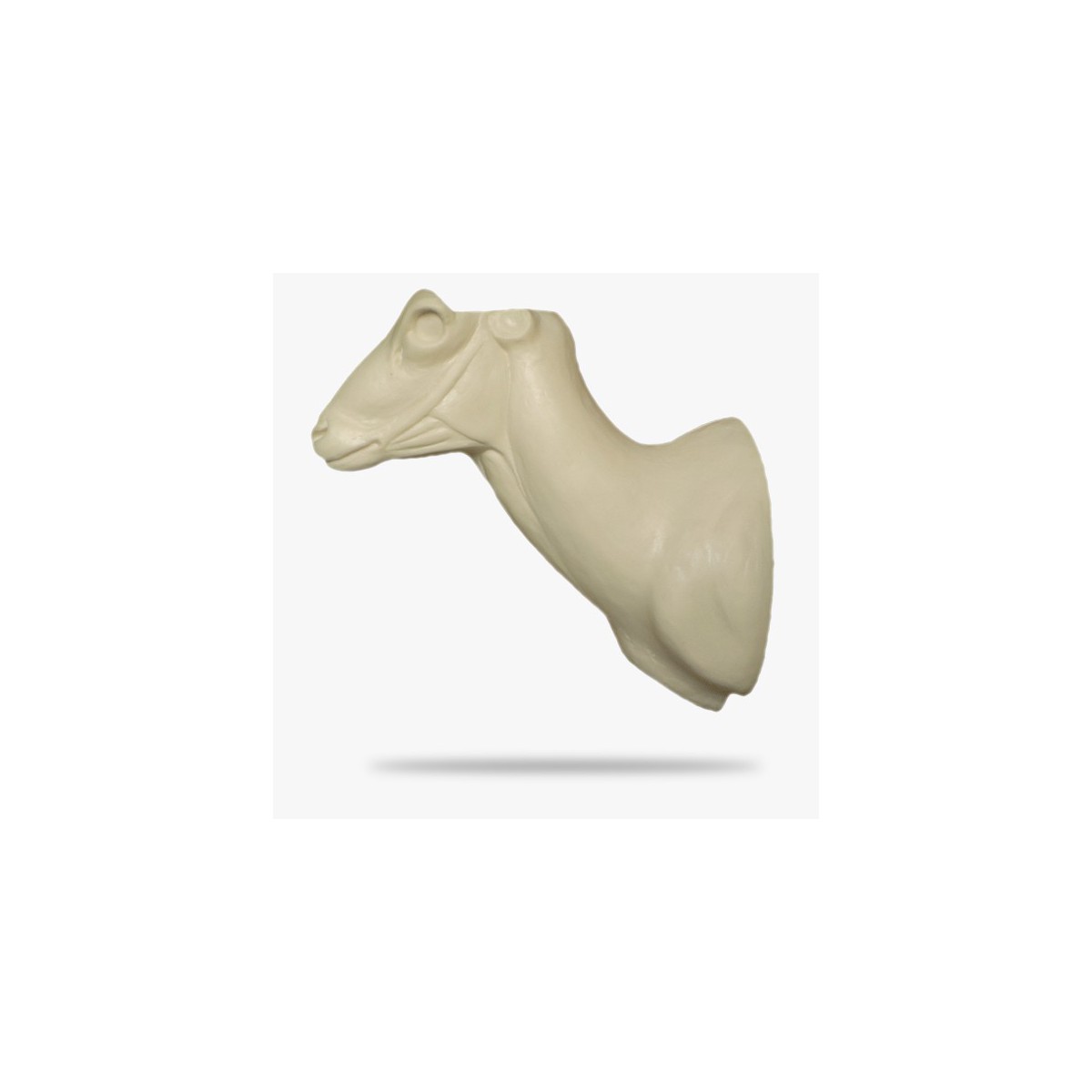 M1-L.gif_product