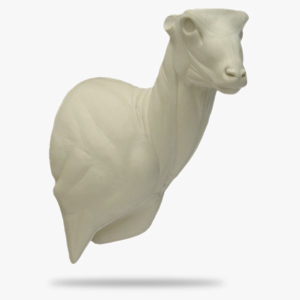O-M2-R.gif_product