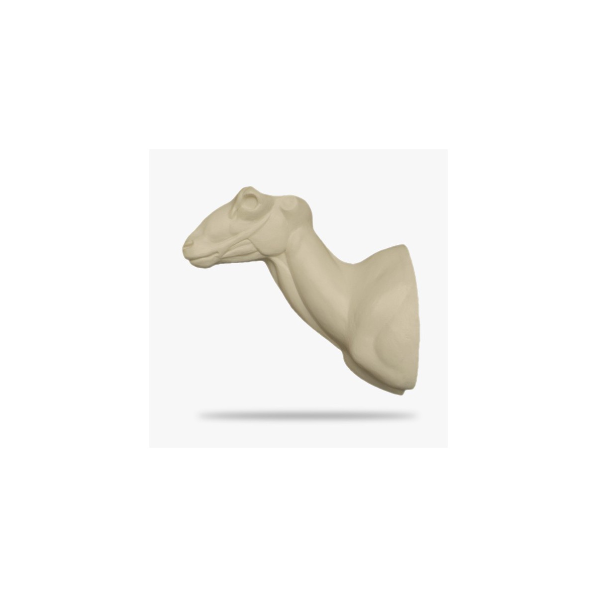 M6-L.gif_product