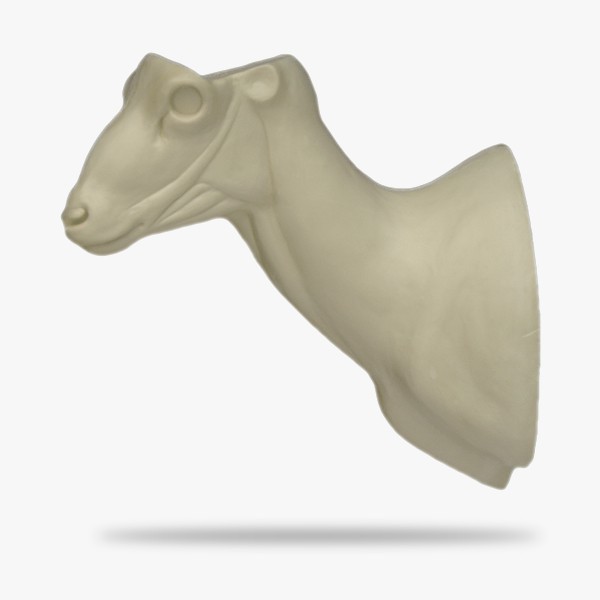 M2-L.gif_product