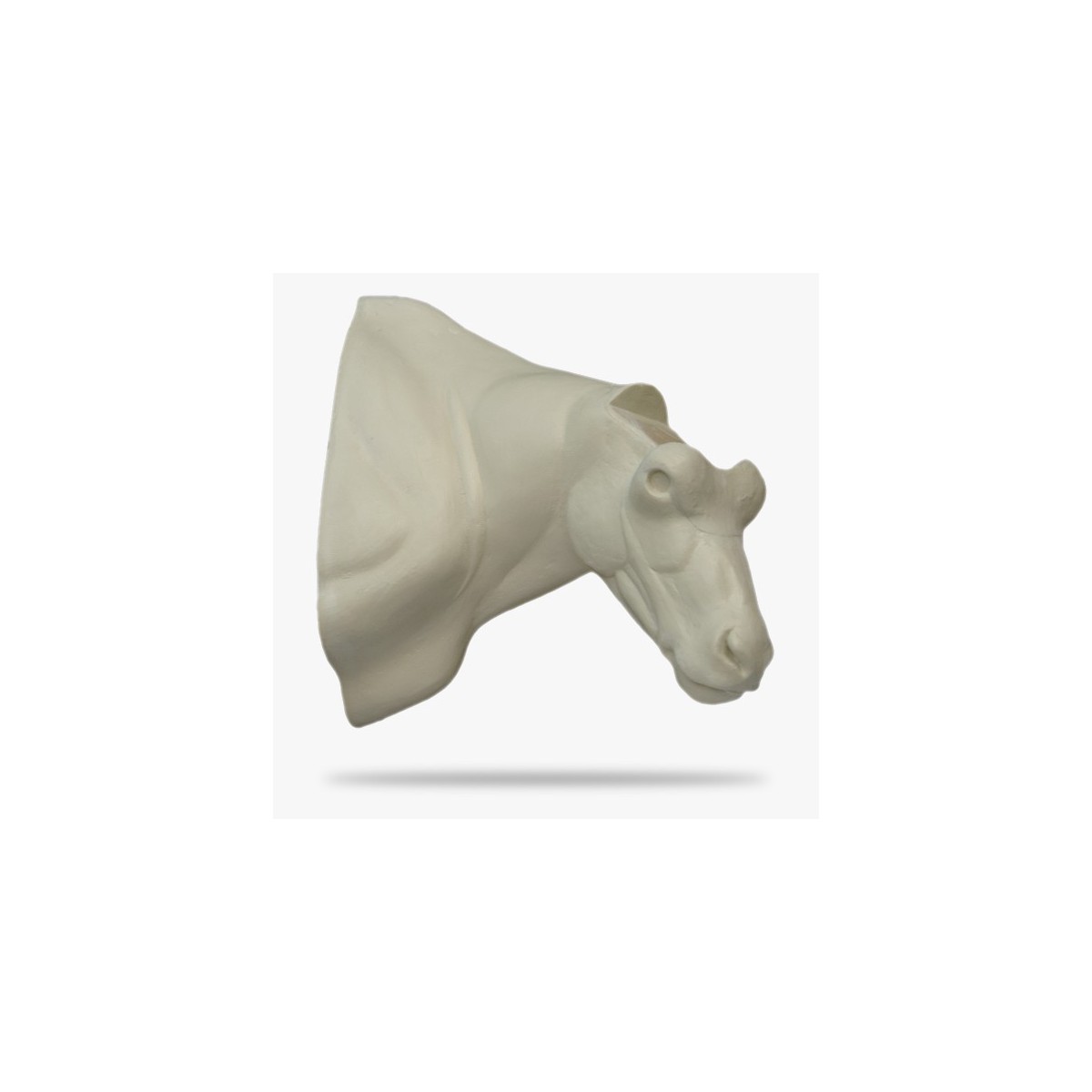 MO2-R.gif_product