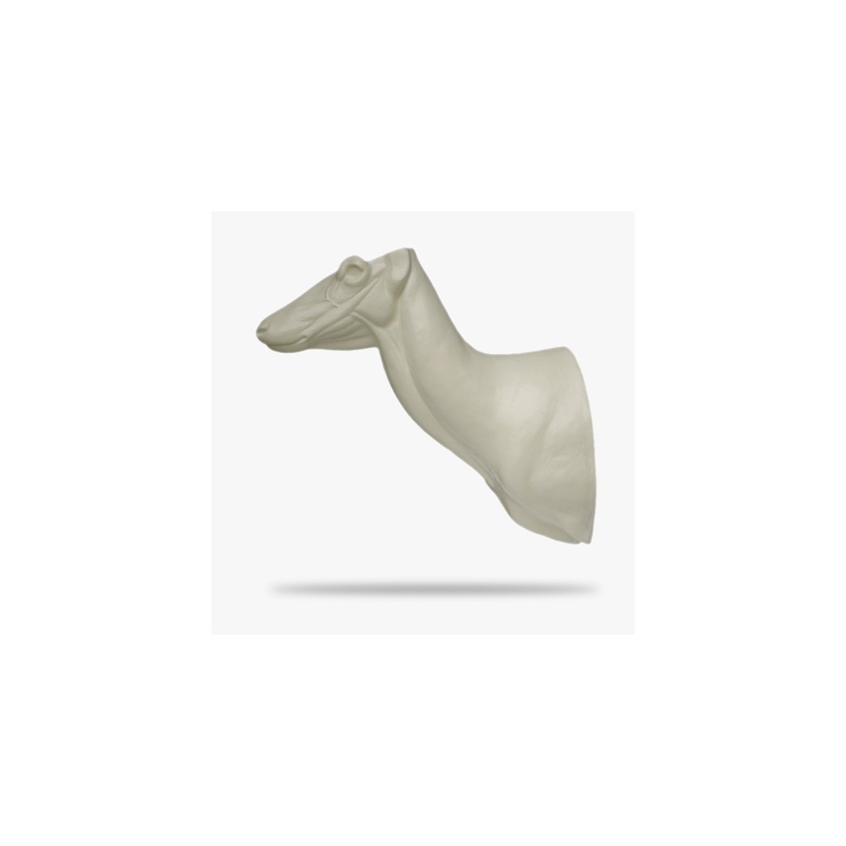 SO-RH5-G.gif_product