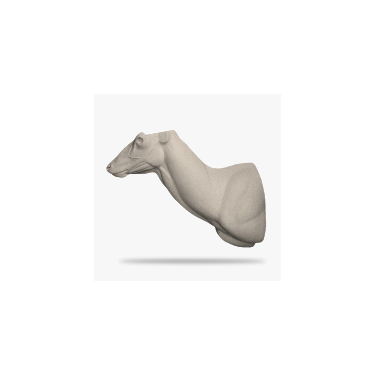 RH3-G.gif_product