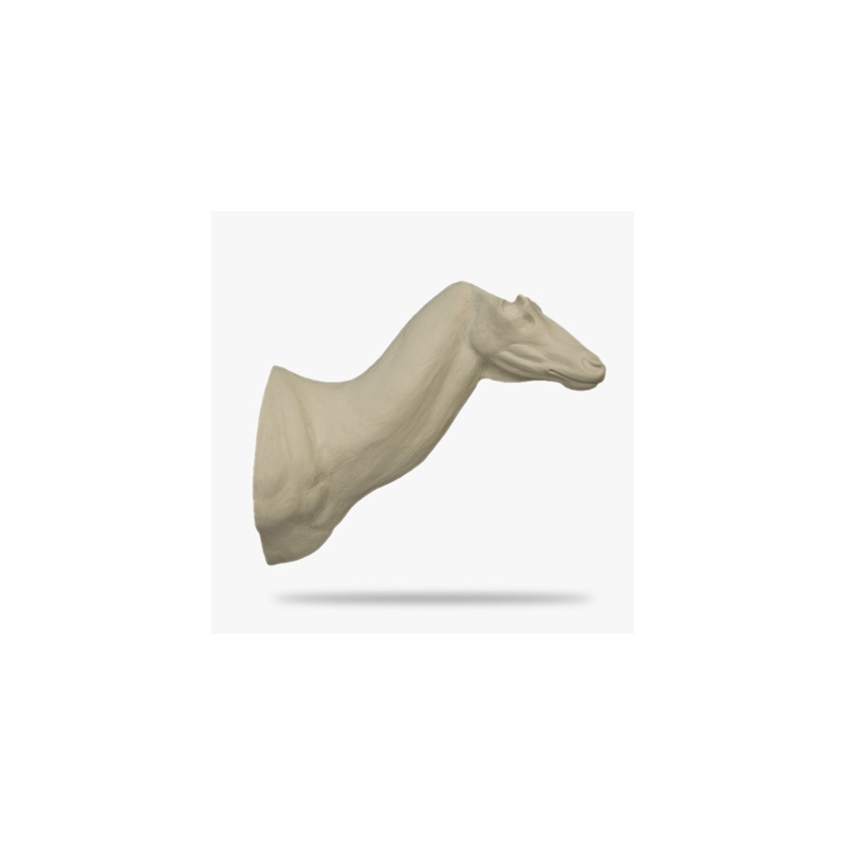 LO-RH2-R.gif_product