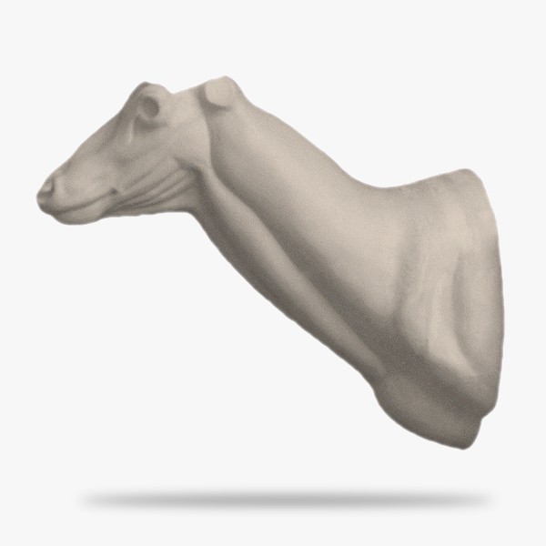 RH4-G.gif_product