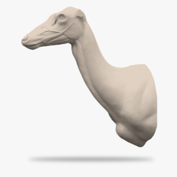 RH-AT1-G.gif_product