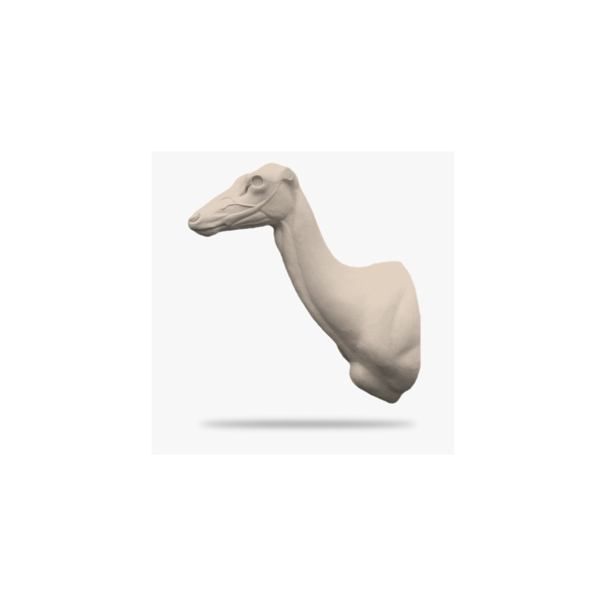 RH-AT1-G.gif_product