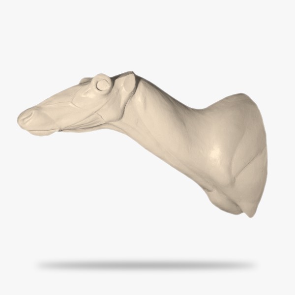 SO-RN3-G.gif_product