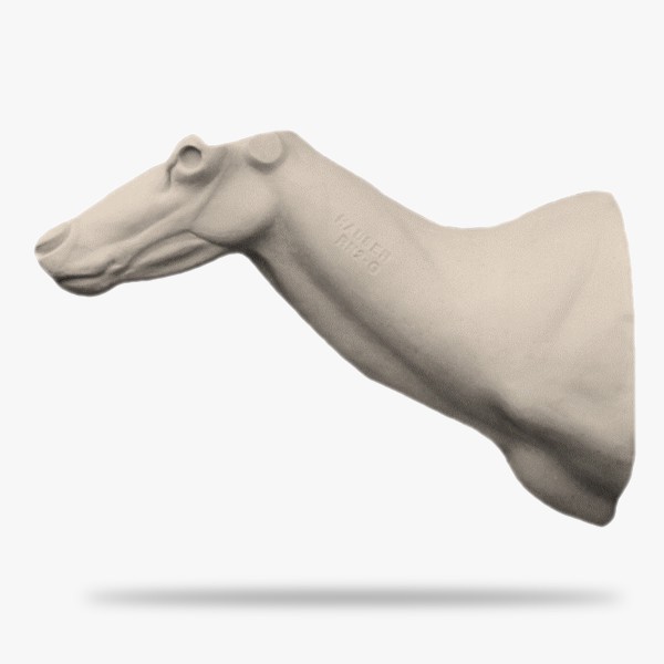 RN2-G.gif_product