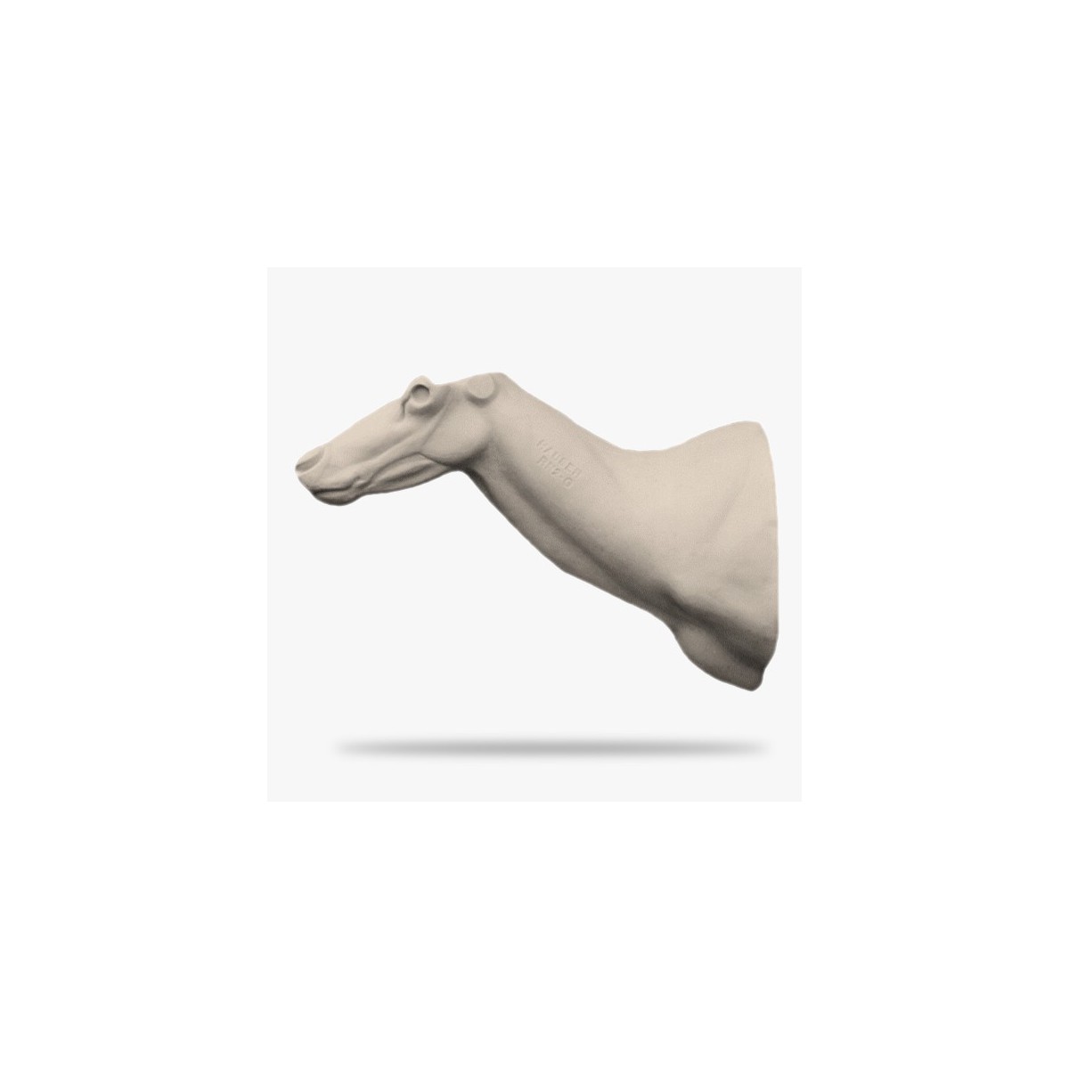 RN2-G.gif_product