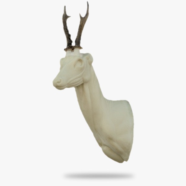 R8-L.gif_product