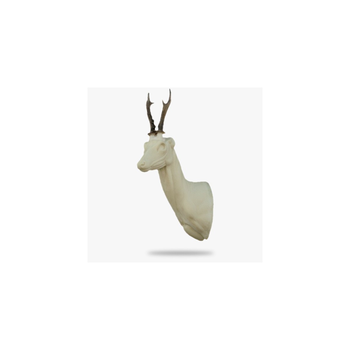R8-L.gif_product