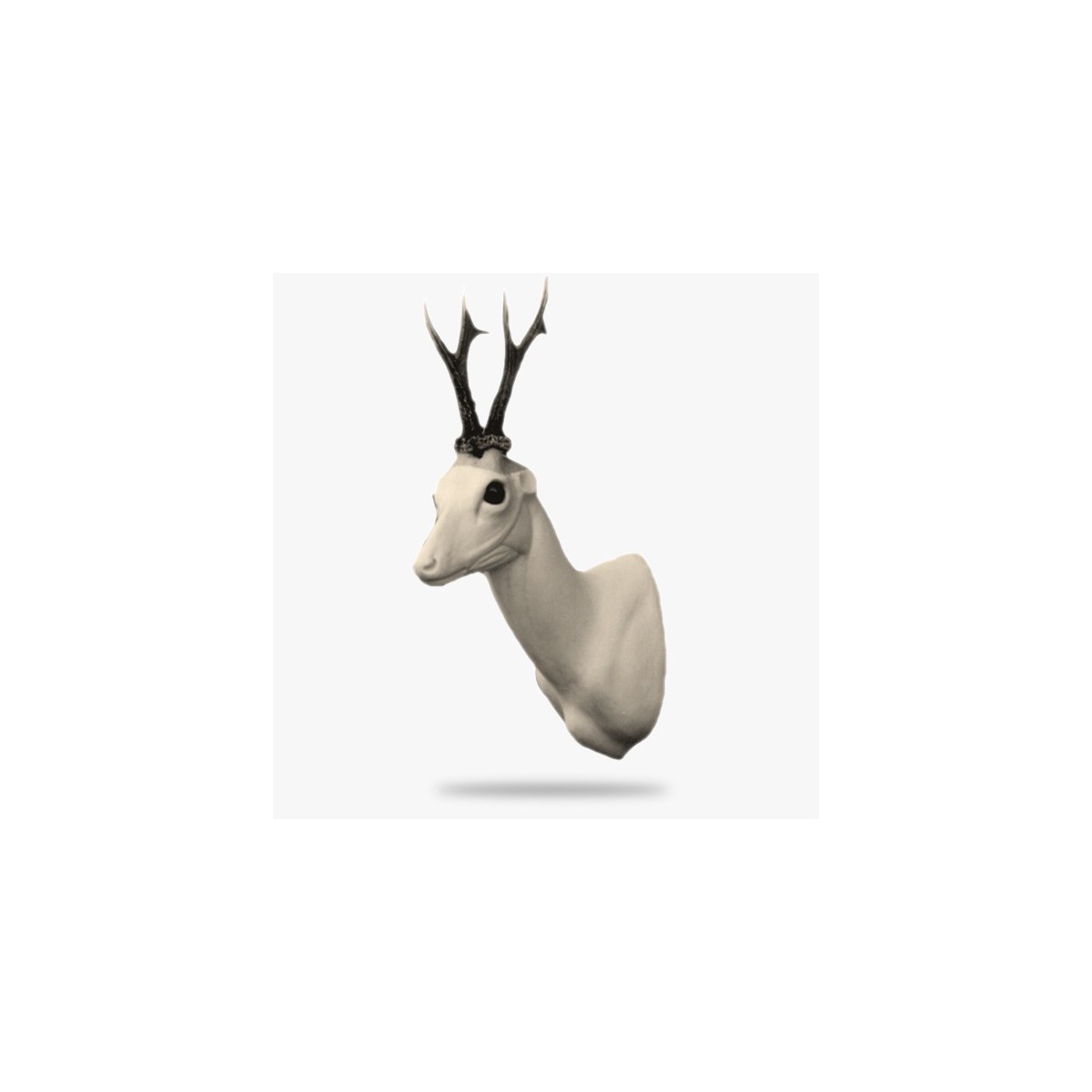 R4-G-98.gif_product