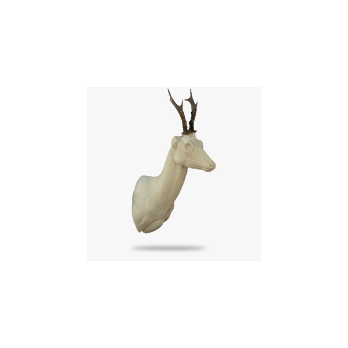 R8-G.gif_product
