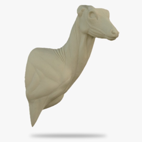 O-R8-R.gif_product