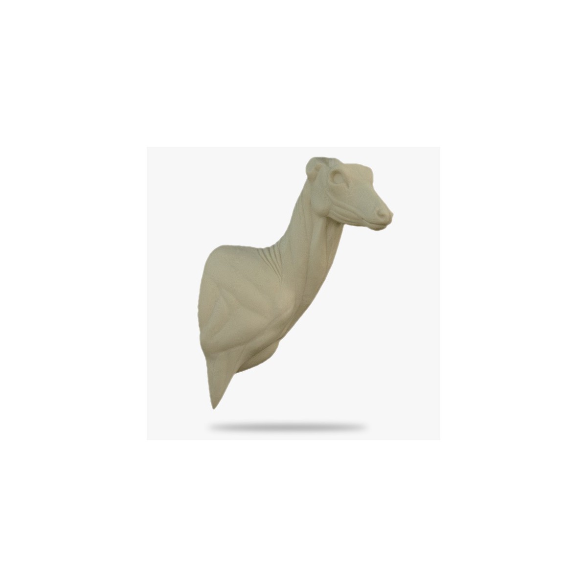 O-R8-R.gif_product