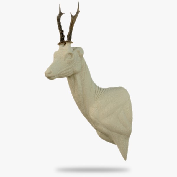 O-R8-L.gif_product