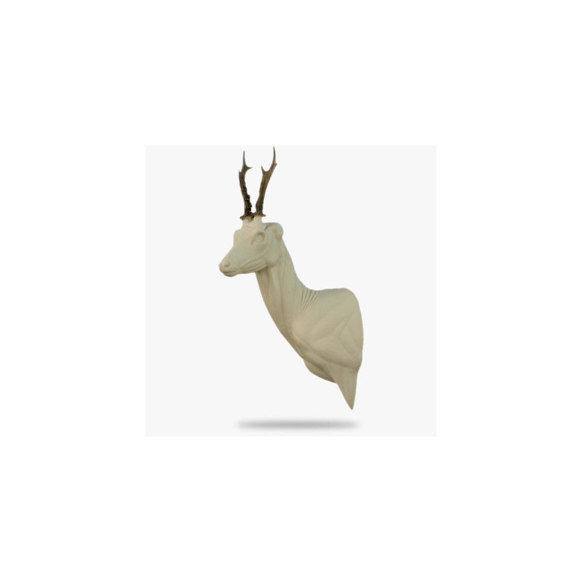 O-R8-L.gif_product