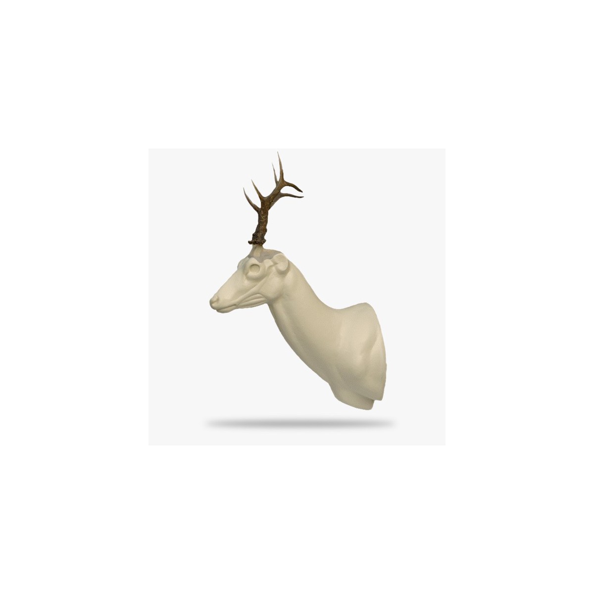 SR2-G.gif_product_product