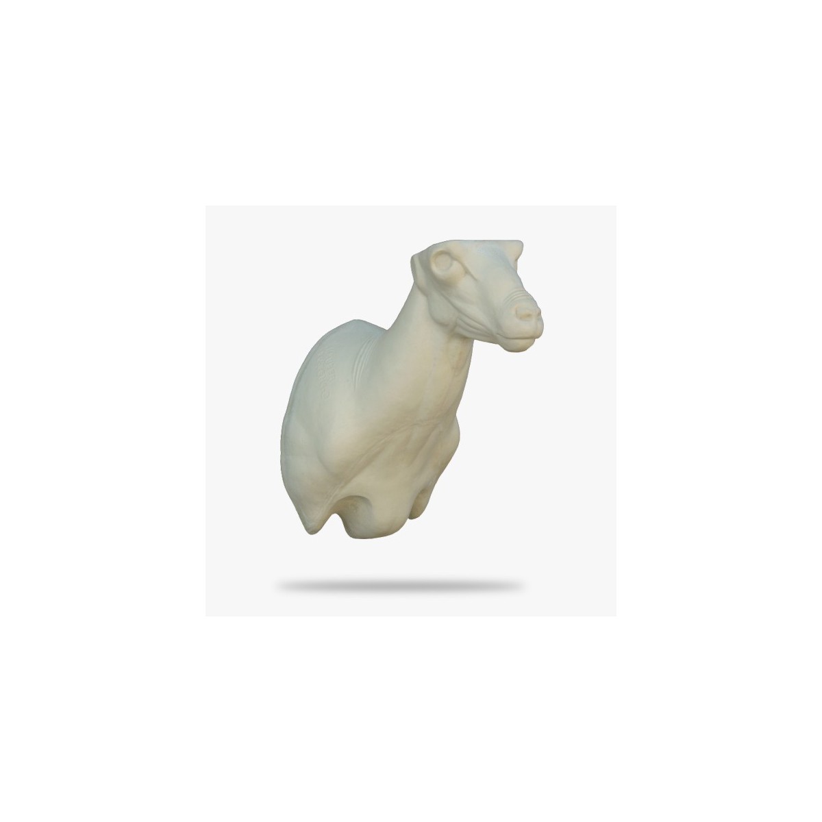 SO-SSH4-G.gif_product