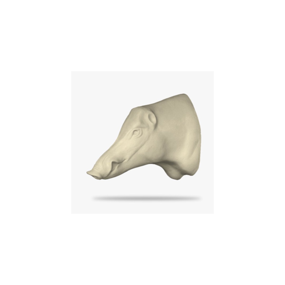 W5-G-G.gif_product