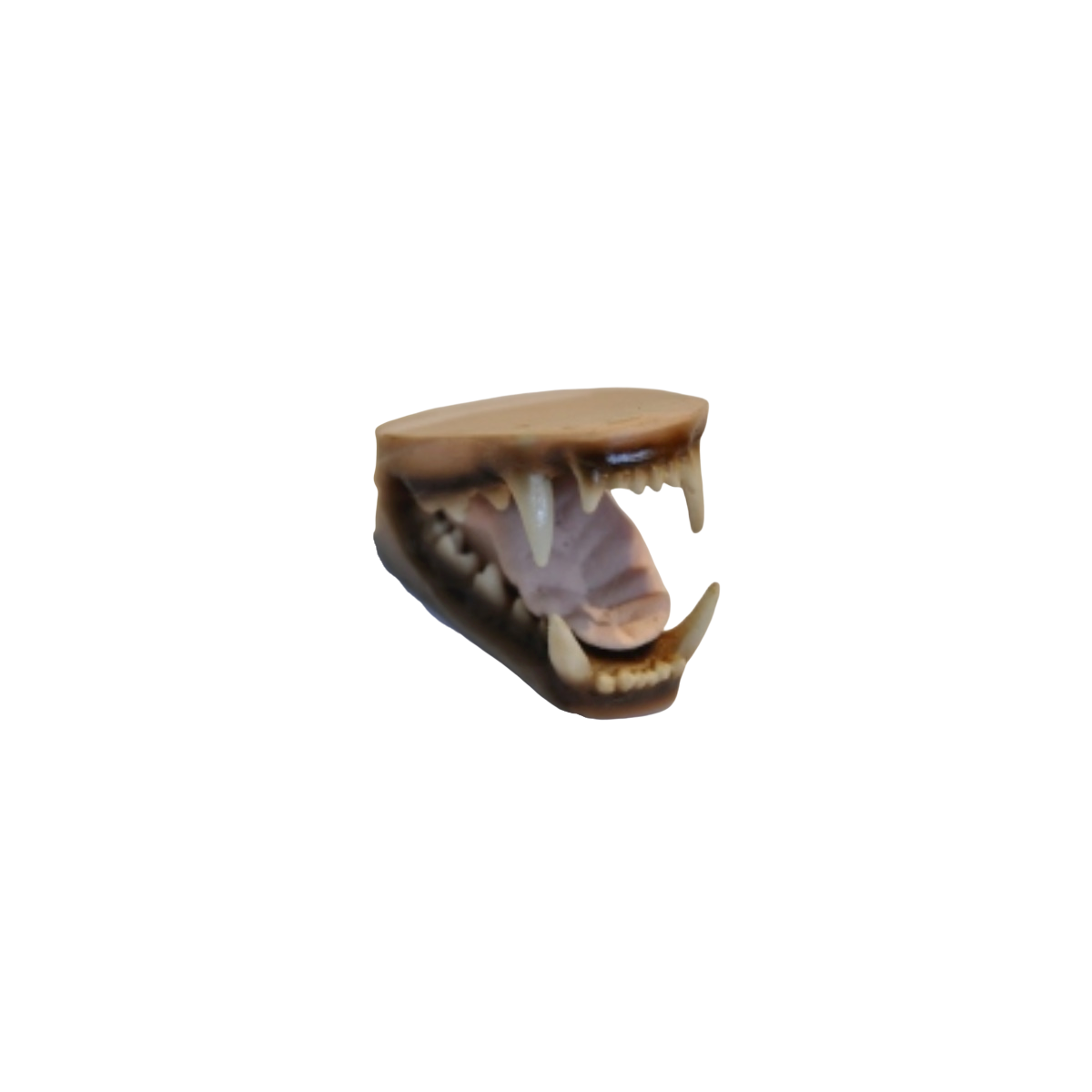 Nuevo proyecto (1)2.png
