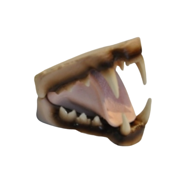 Nuevo proyecto (2)18.png
