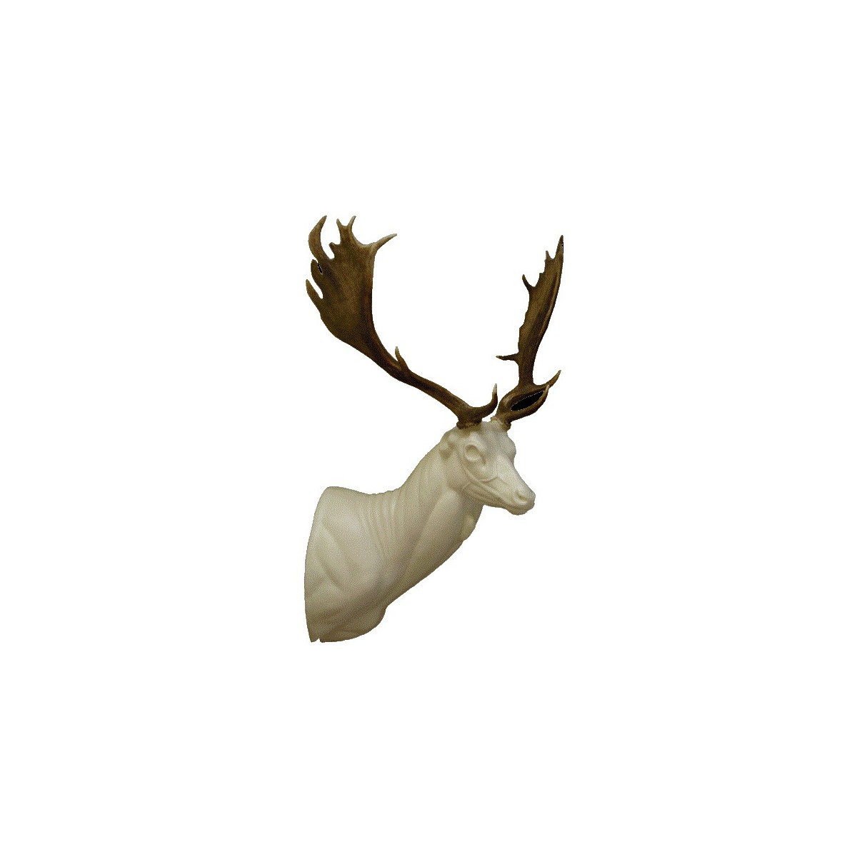 D12-R.gif_product