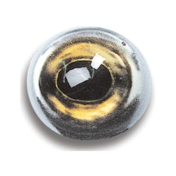 Ojos de Lucio-Perca DIAM 18mm REF YWC 8.3898336.jpg