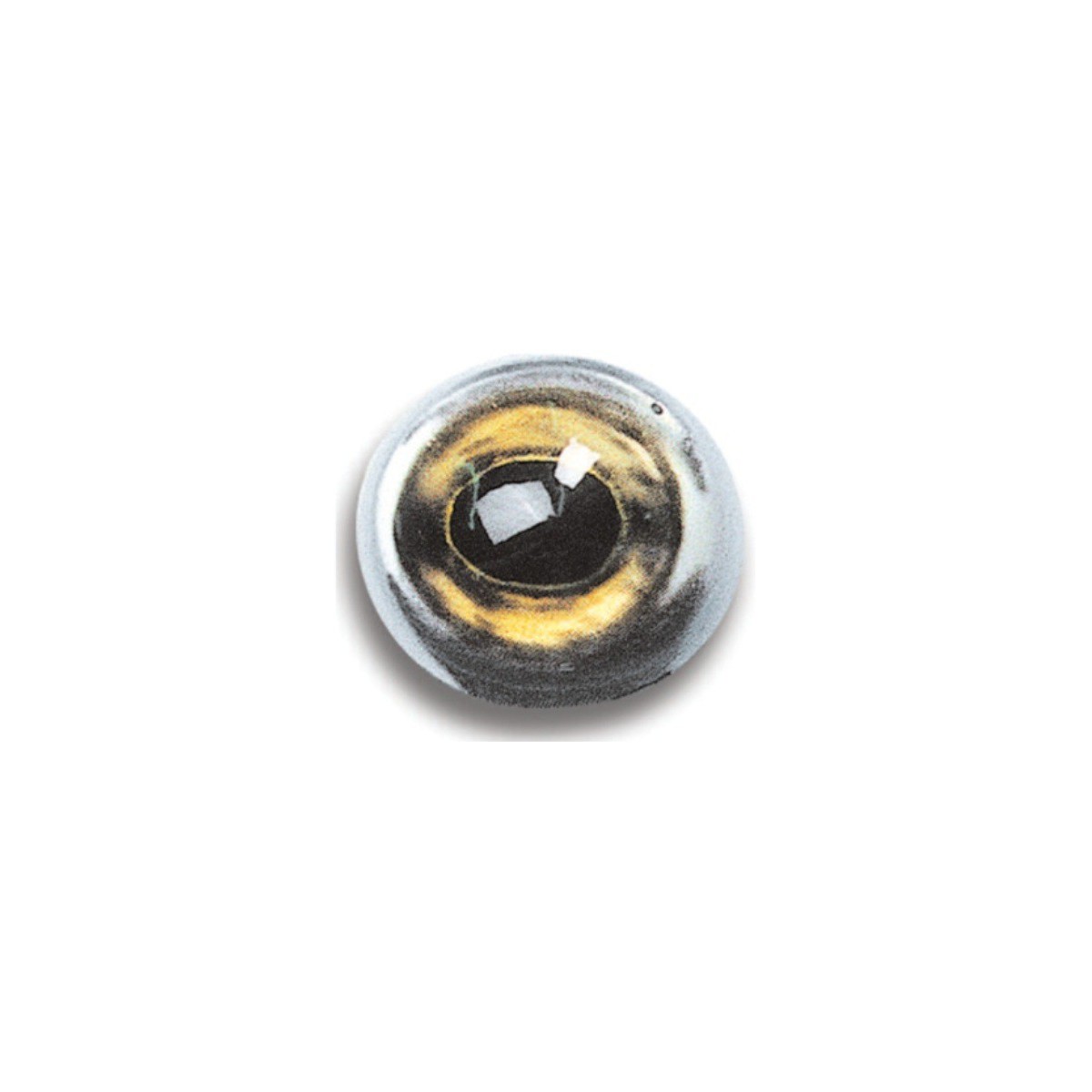 Ojos de Lucio-Perca DIAM 18mm REF YWC 8.389832.jpg