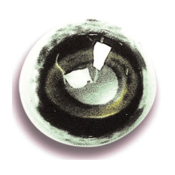 Ojos de Lucio DIAM 20mm REF YWC 9.491529.jpg